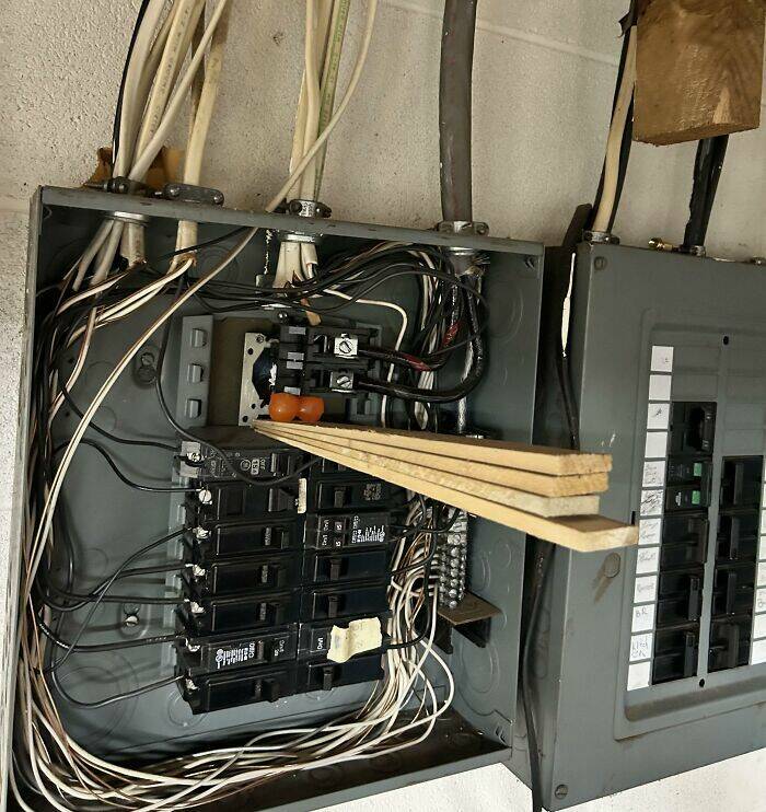 Wild Shots Of Risky Situations