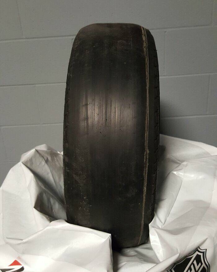 Wild Shots Of Risky Situations