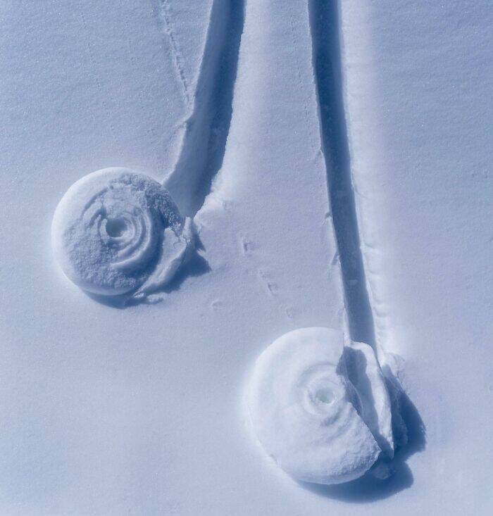 Wild Shots Of Risky Situations