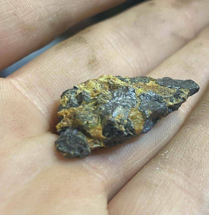 Wild Shots Of Risky Situations