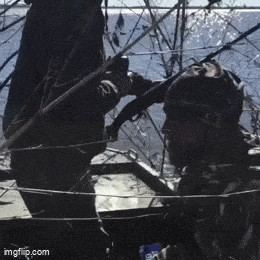 Daily Gifdump Daily Gifdump