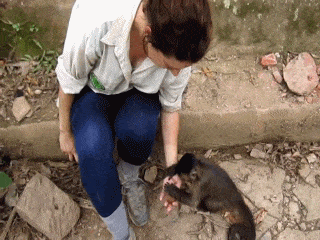 Daily Gifdump Daily Gifdump