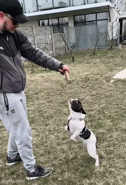 Daily Gifdump Daily Gifdump