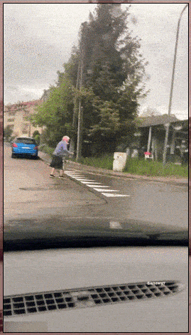 Daily Gifdump Daily Gifdump