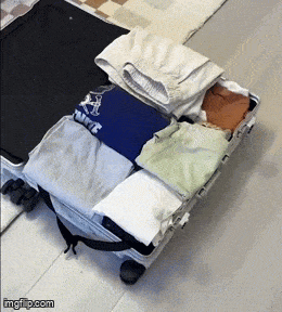 Daily Gifdump Daily Gifdump