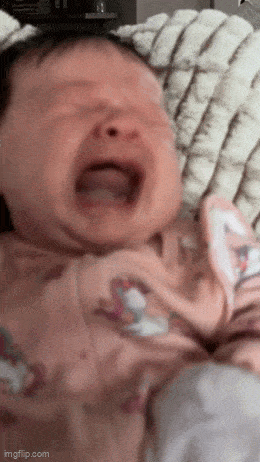 Daily Gifdump Daily Gifdump