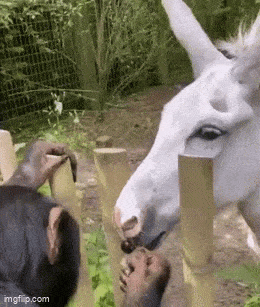 Daily Gifdump Daily Gifdump