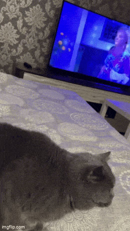 Daily Gifdump Daily Gifdump