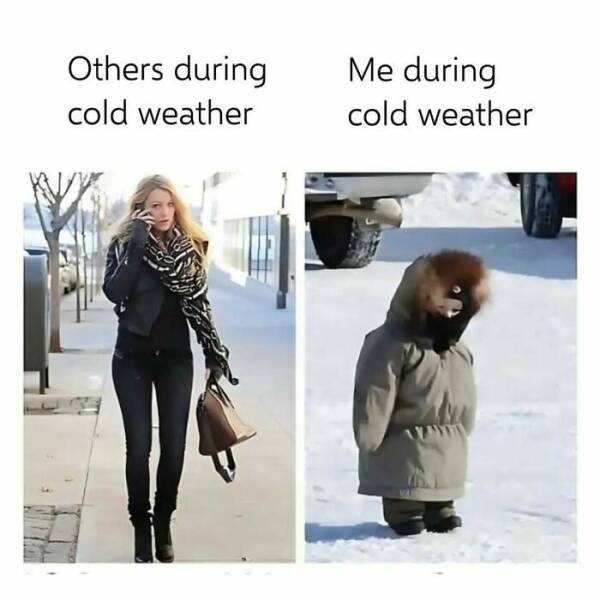 Certified Goofy With A Side Of Sarcasm