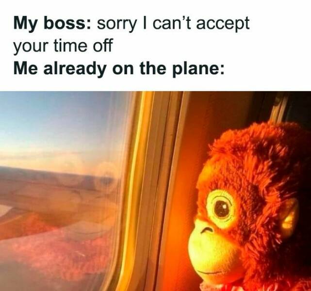 Certified Goofy With A Side Of Sarcasm