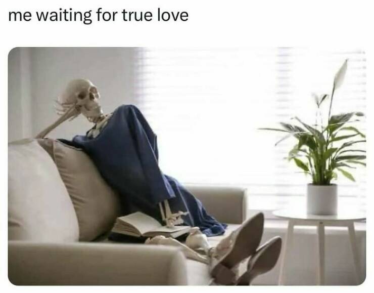 Certified Goofy With A Side Of Sarcasm