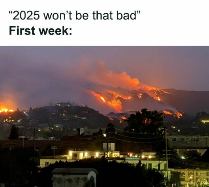 Certified Goofy With A Side Of Sarcasm