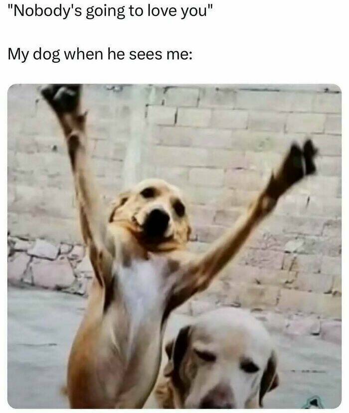 Certified Goofy With A Side Of Sarcasm