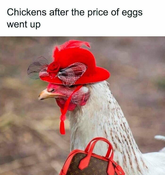 Certified Goofy With A Side Of Sarcasm