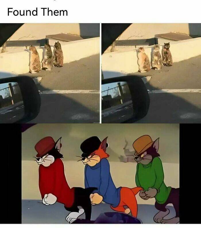 Certified Goofy With A Side Of Sarcasm