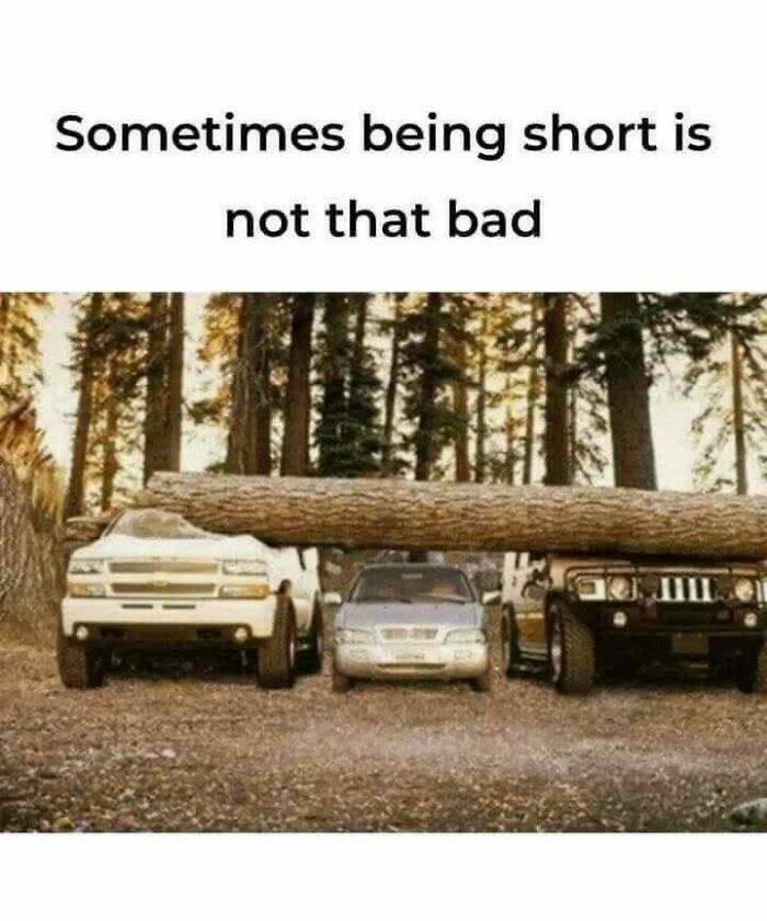 Certified Goofy With A Side Of Sarcasm