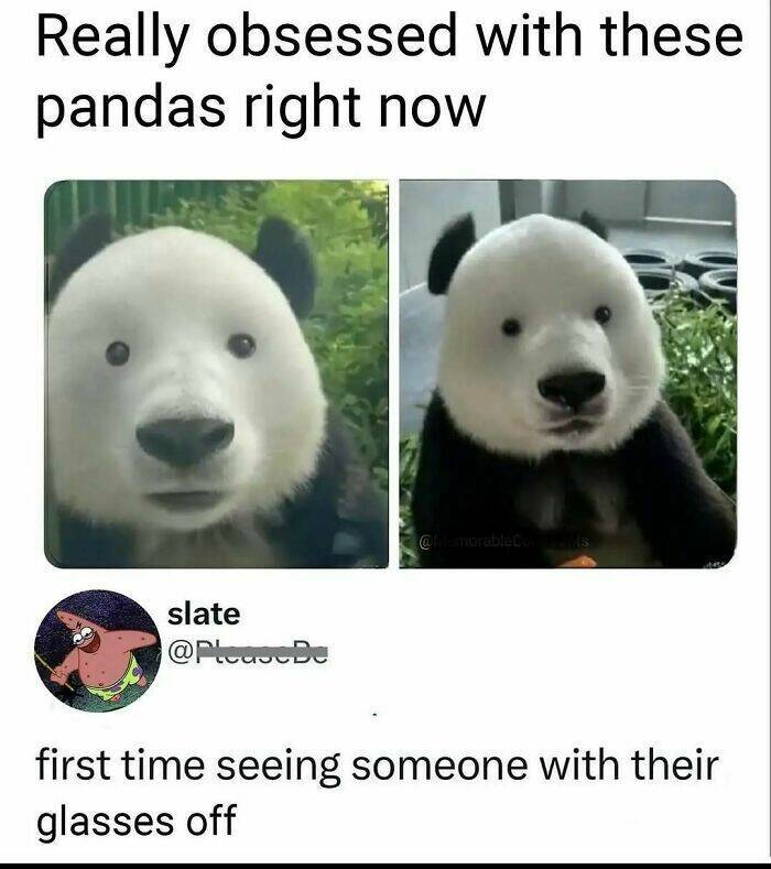 Certified Goofy With A Side Of Sarcasm