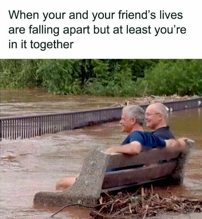 Certified Goofy With A Side Of Sarcasm