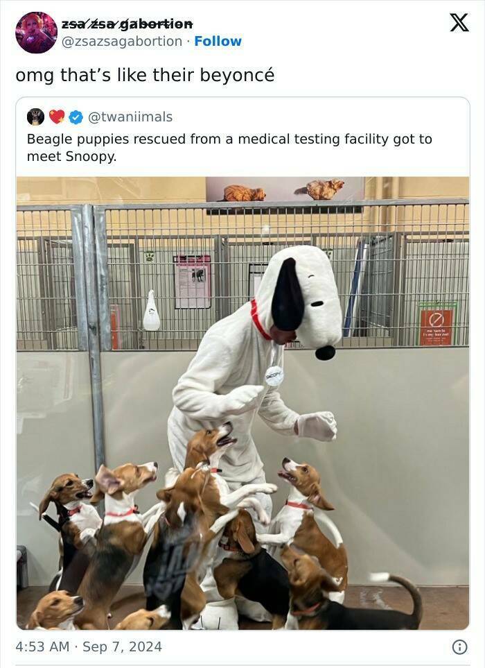 “Memes Against Humanity” To Survive The Week