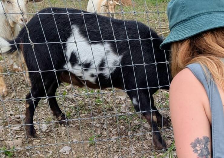 Mild Curiosities You Didn’t Know You’d Enjoy