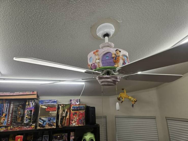 Mild Curiosities You Didn’t Know You’d Enjoy