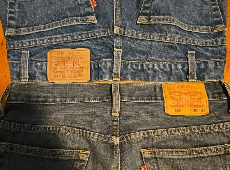 Mild Curiosities You Didn’t Know You’d Enjoy