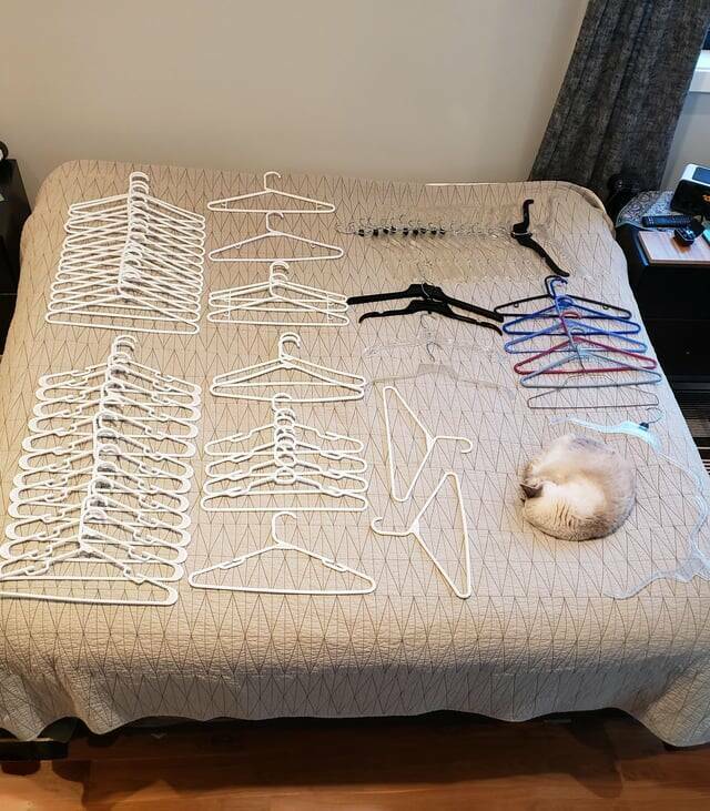 Mild Curiosities You Didn’t Know You’d Enjoy