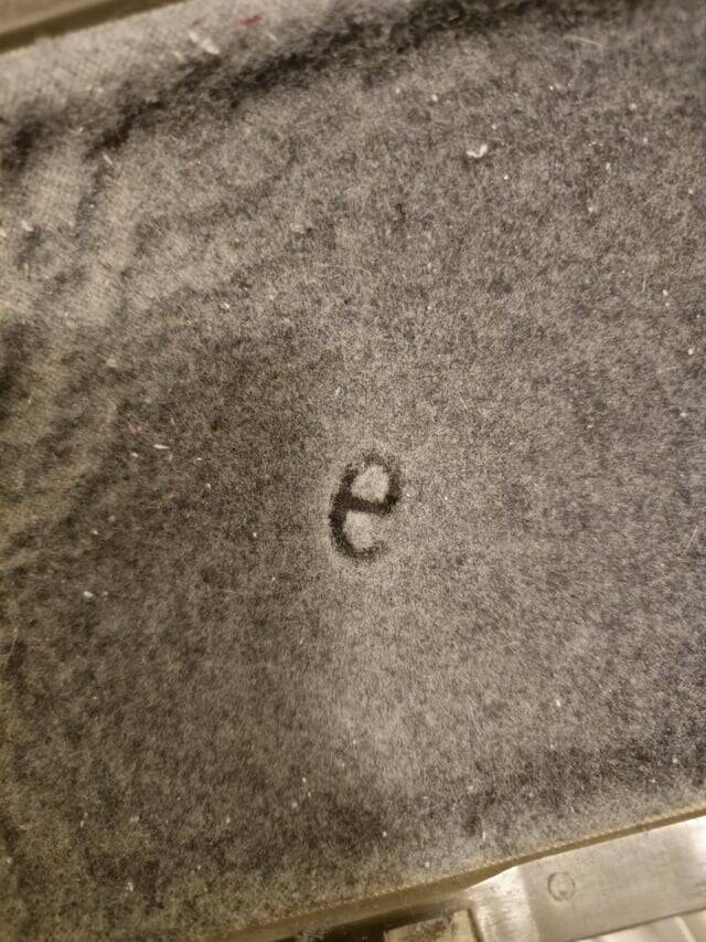 Mild Curiosities You Didn’t Know You’d Enjoy