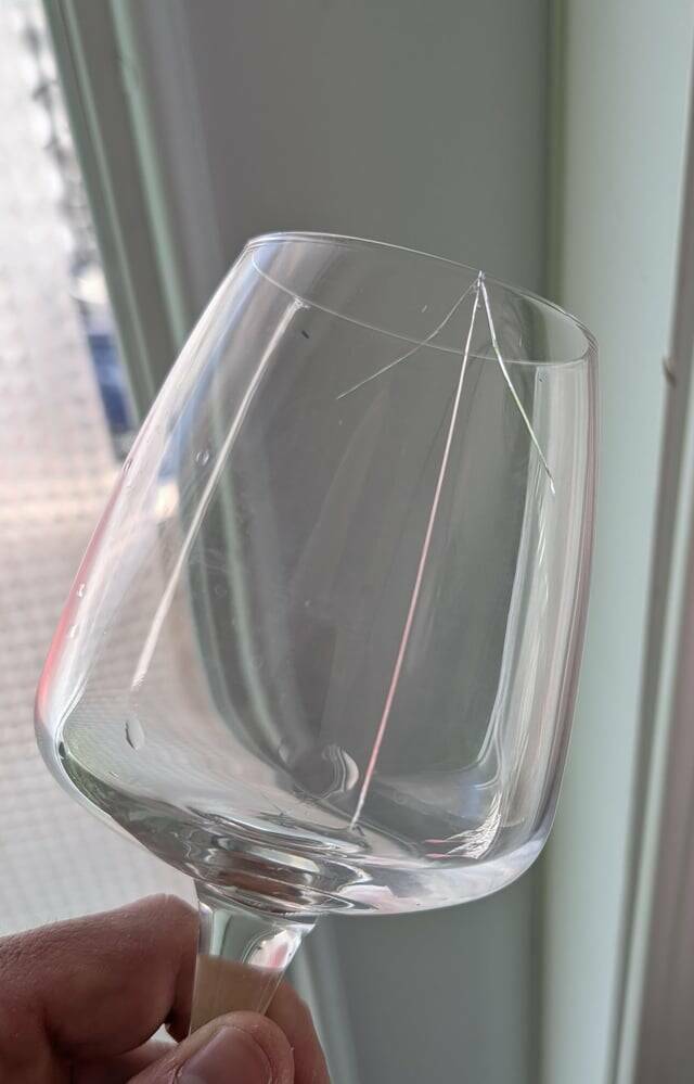 Mild Curiosities You Didn’t Know You’d Enjoy