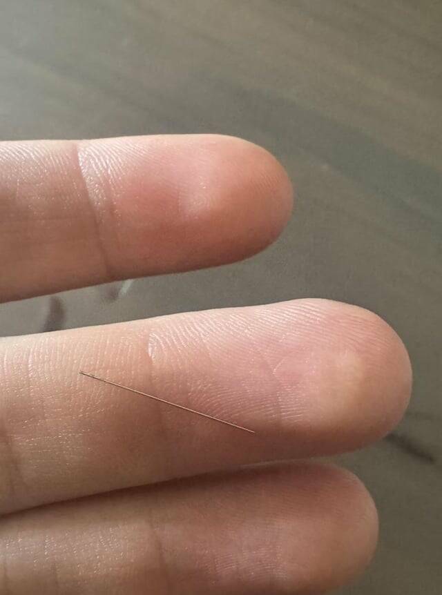 Mild Curiosities You Didn’t Know You’d Enjoy