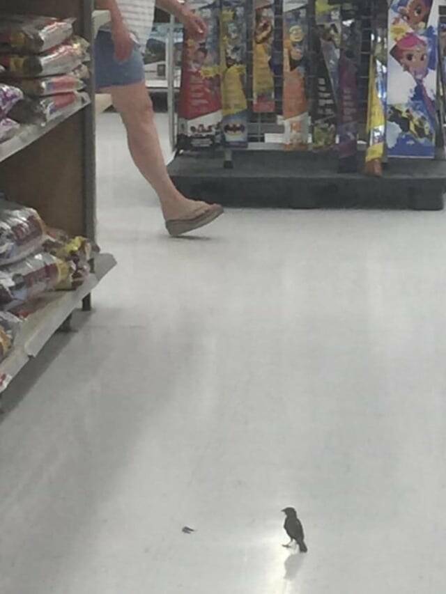 Mild Curiosities You Didn’t Know You’d Enjoy