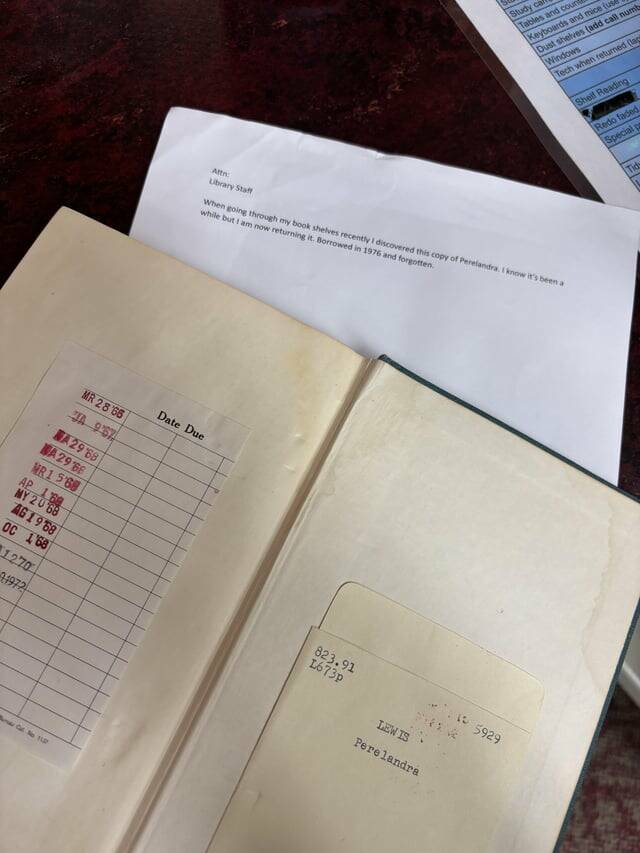 Mild Curiosities You Didn’t Know You’d Enjoy