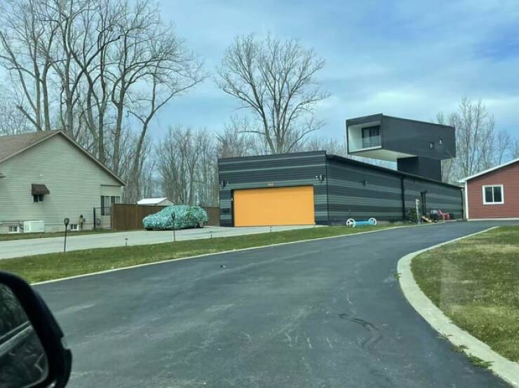 Mild Curiosities You Didn’t Know You’d Enjoy