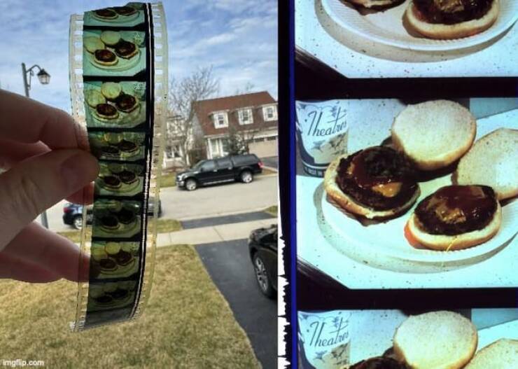 Mild Curiosities You Didn’t Know You’d Enjoy