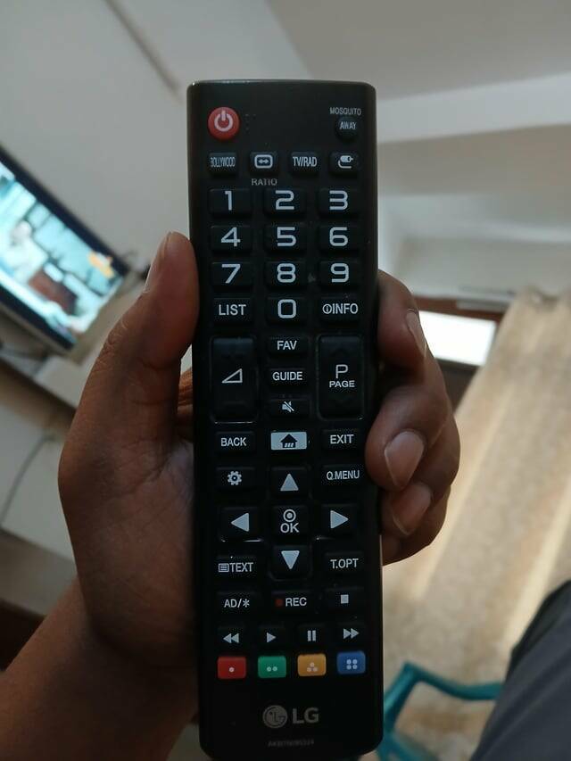 Mild Curiosities You Didn’t Know You’d Enjoy