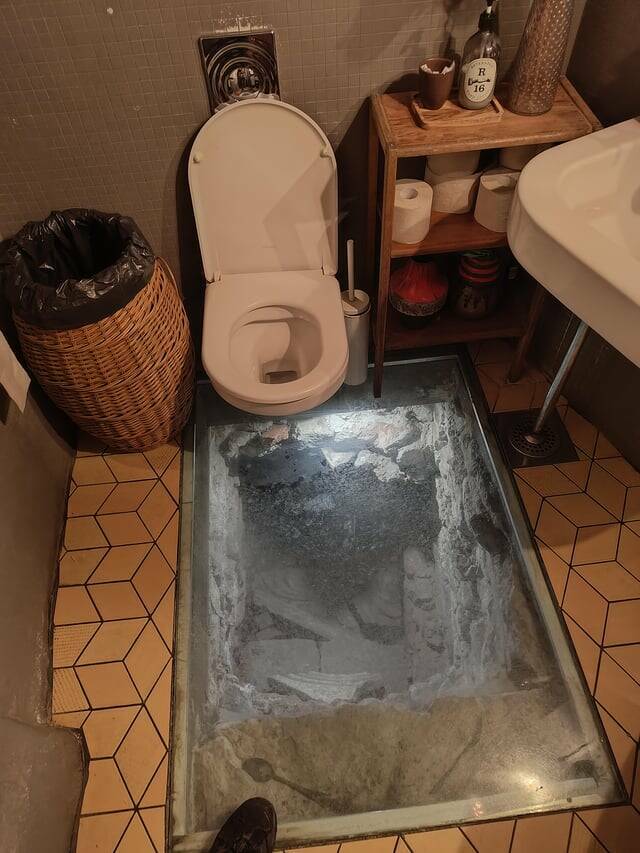 Mild Curiosities You Didn’t Know You’d Enjoy