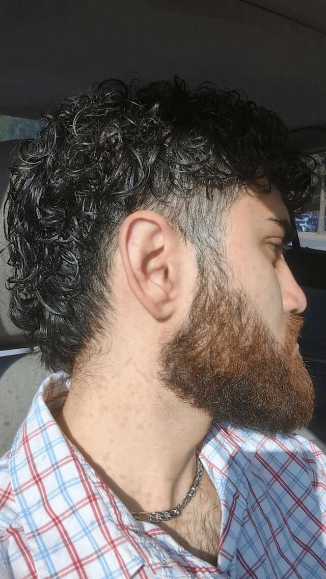 Mild Curiosities You Didn’t Know You’d Enjoy