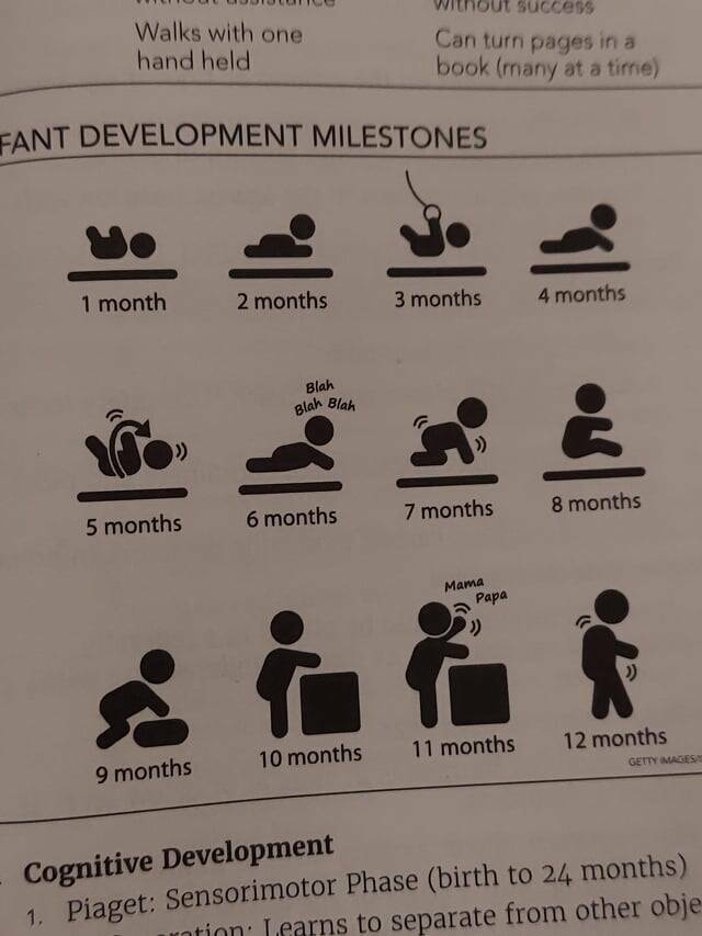 Mild Curiosities You Didn’t Know You’d Enjoy