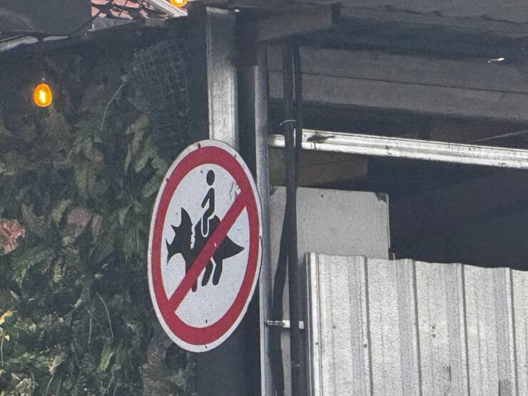 Morning Picdump Morning Picdump