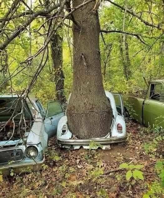 Morning Picdump Morning Picdump