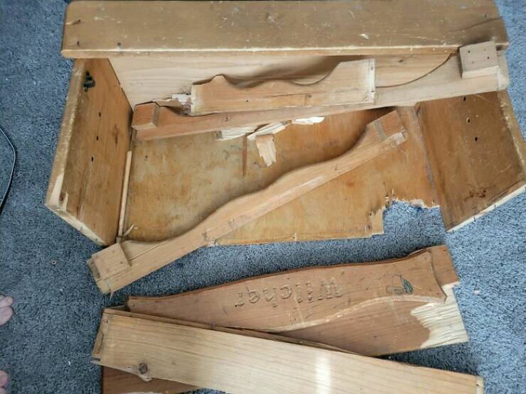 Rage-Inducing Moments Caught In The Wild