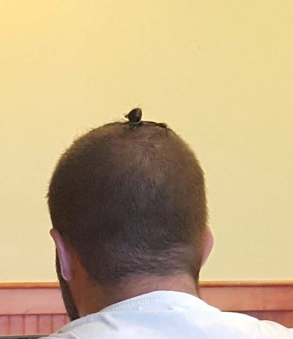 The Hairstyles That Shouldve Stayed Hidden