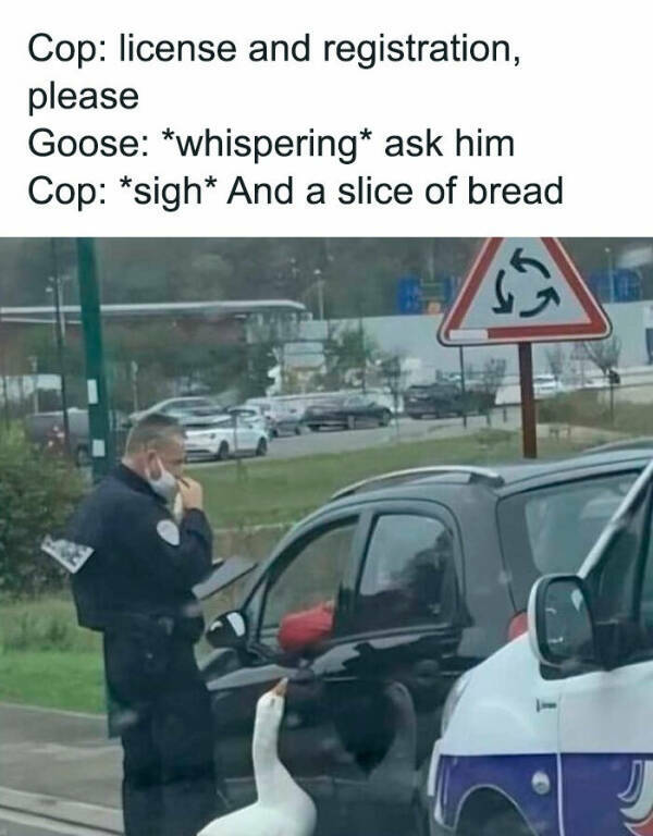 Ultimate Facepalm: The Dad Joke Edition