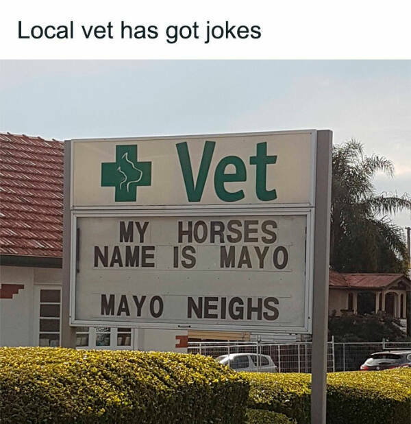 Ultimate Facepalm: The Dad Joke Edition