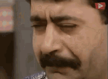 A Sip Of Unexpected Knowledge