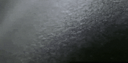 A Sip Of Unexpected Knowledge