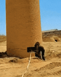 Daily Gifdump Daily Gifdump