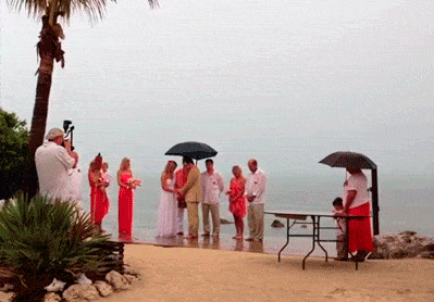 Daily Gifdump Daily Gifdump