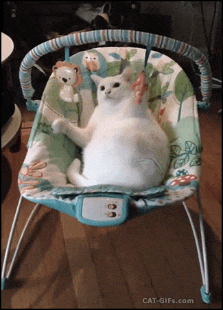 Daily Gifdump Daily Gifdump