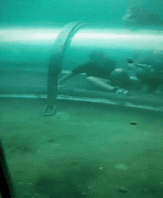 Daily Gifdump Daily Gifdump